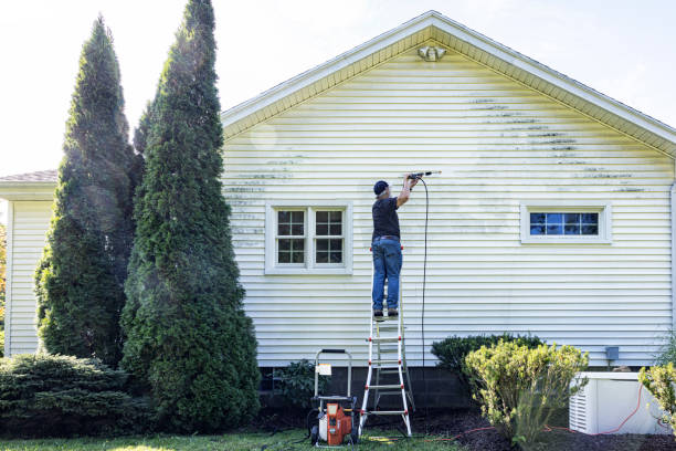Best Roof Cleaning and Mildew Removal in Mcarthur, OH